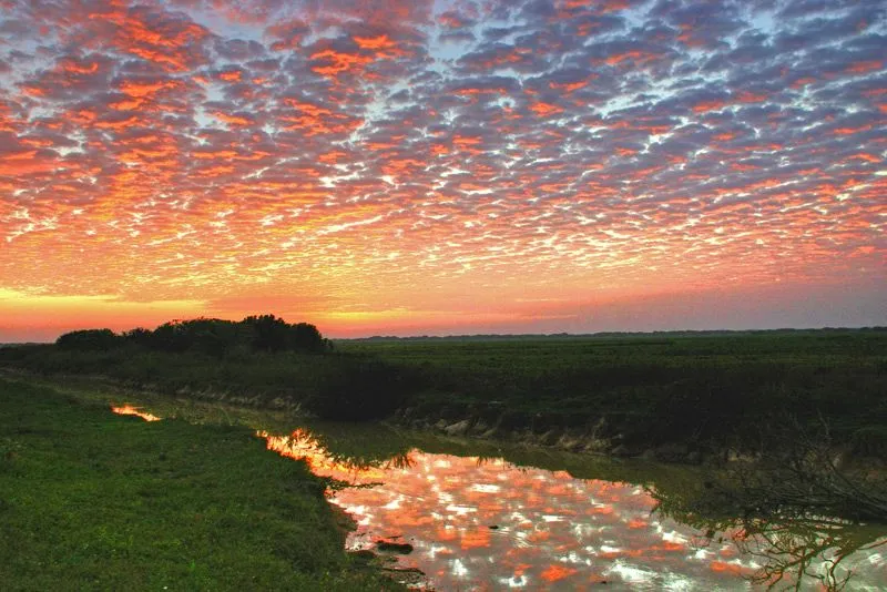 Paisajes de Venezuela: Colores Musicales – Soonatas