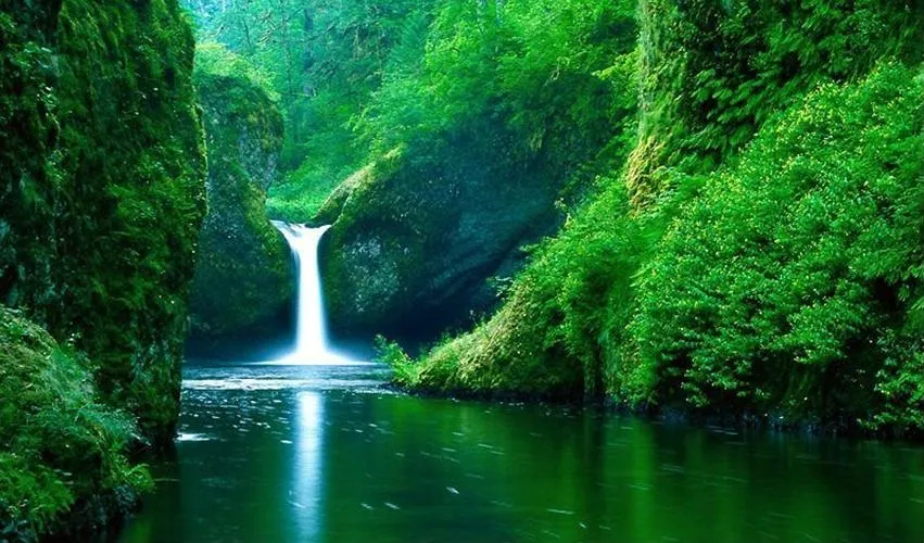 PAISAJES VERDES | Paisajes Maravillosos