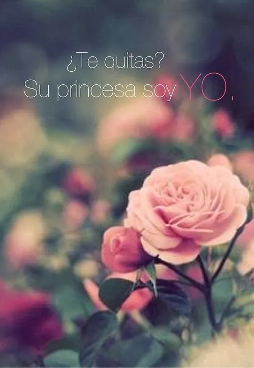Paisajes Vintage Con Frases
