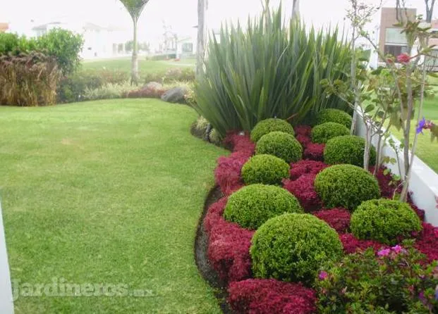 Paisajismo...Otra visión a tu espacio - Jardineros.mx