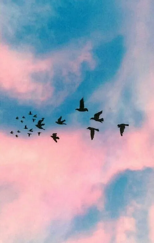 Pajaritos volando wallpaper hipster | Wallpaper | Pinterest | Be ...