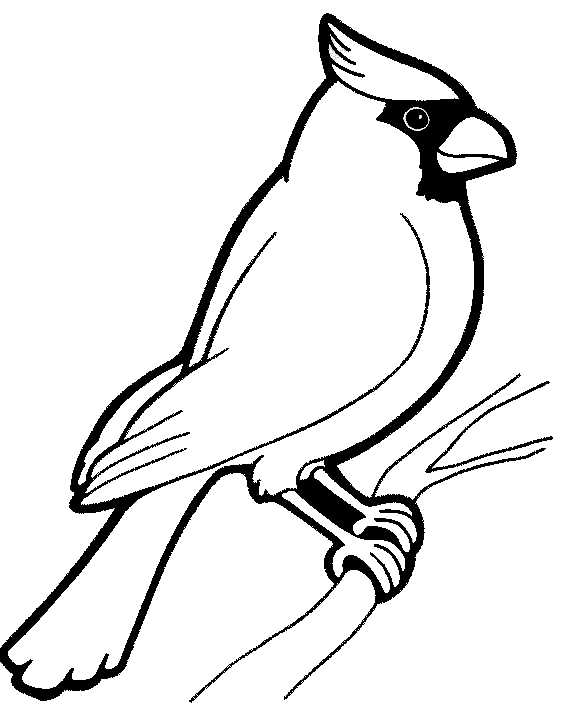 Pajaro cardenal para colorear - Imagui