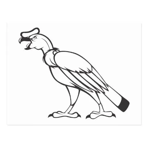 Pájaro salvaje del cóndor andino en blanco y negro tarjetas ...