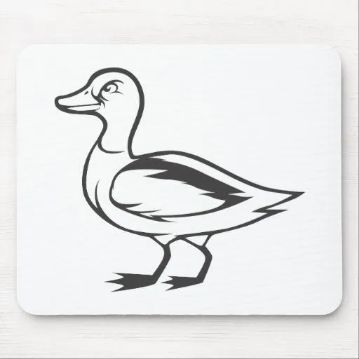Pájaro serio del pato del pato silvestre en blanco alfombrilla de ... Pájaro serio del pato del pato silvestre en blanco alfombrilla de ...