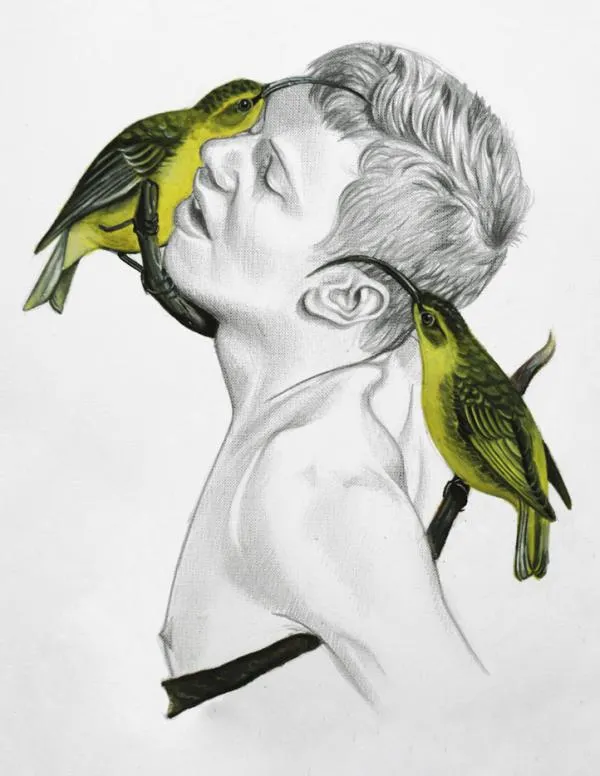 Pájaros - Dibujos de Luca Mantovanelli - Arte Feed Pájaros - Dibujos de Luca Mantovanelli - Arte Feed