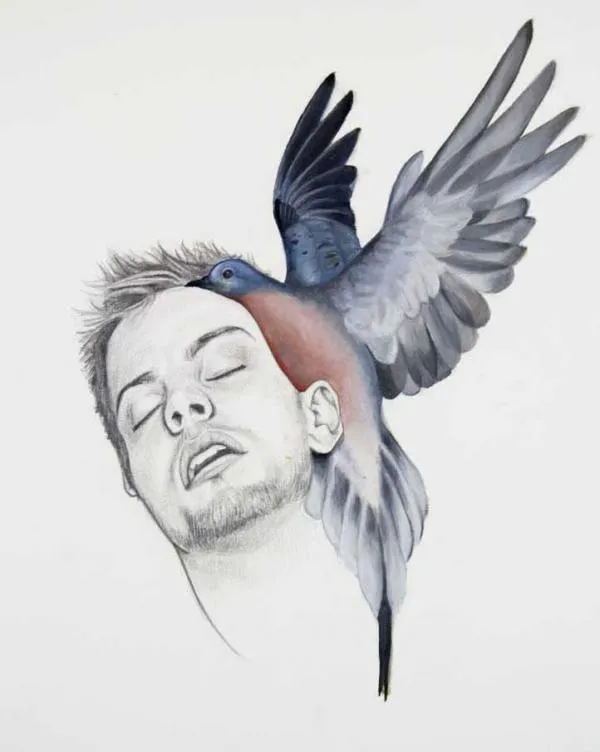 Pájaros - Dibujos de Luca Mantovanelli - Arte Feed Pájaros - Dibujos de Luca Mantovanelli - Arte Feed