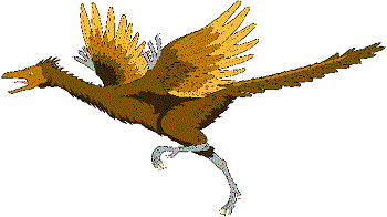 Imagenes movibles de pajaros - Imagui