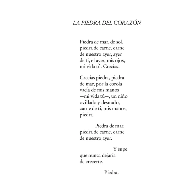 Los pájaros de hogaño: octubre 2011