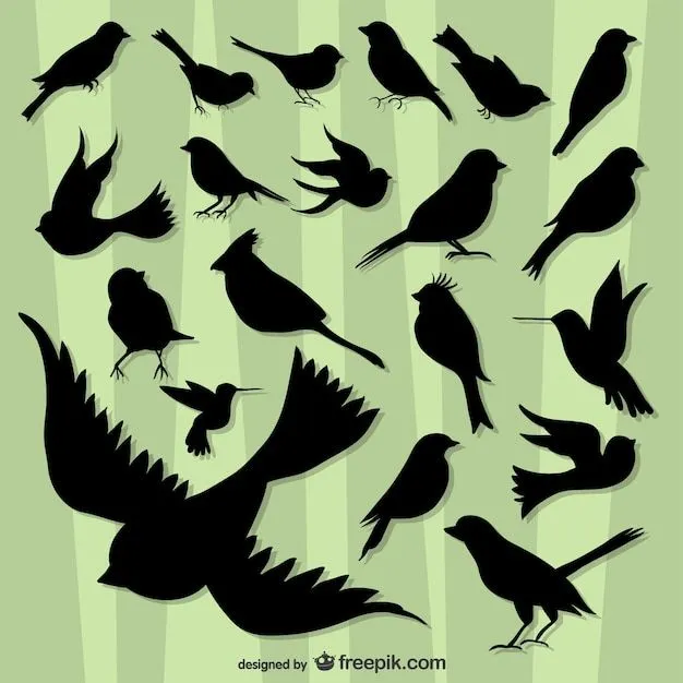 Siluetas de pájaros volando | Descargar Vectores gratis Siluetas de pájaros volando | Descargar Vectores gratis