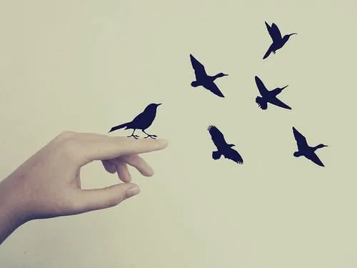 Y volar... ~ C.Gómez - Página web oficial.