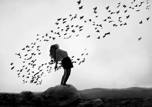 Enséñame a volar{Harry Styles} (Necesito chicas) Enséñame a volar{Harry Styles} (Necesito chicas)