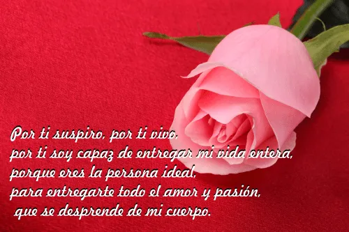 Palabras Del Alma Poemas y Frases De Amor: Por Ti Palabras Del Alma Poemas y Frases De Amor: Por Ti