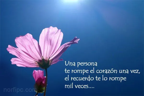 Palabras bonitas y mensajes de amor para una persona que extrañamos Palabras bonitas y mensajes de amor para una persona que extrañamos