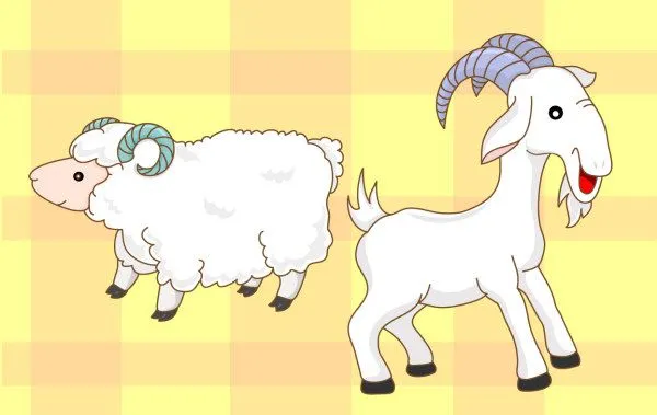 Palabras clave de dibujos animados de cabras, ovejas; Free Download Palabras clave de dibujos animados de cabras, ovejas; Free Download