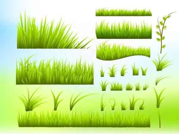 Palabras clave pasto verde primavera hierba árbol deja material de ... Palabras clave pasto verde primavera hierba árbol deja material de ...
