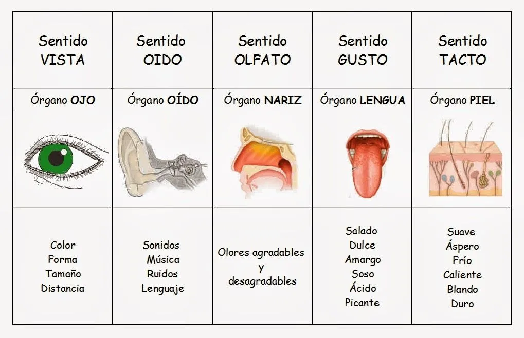 Aprender con in-genio 2.0 | "Me lo contaron y lo olvidé; lo vi y ... Aprender con in-genio 2.0 | "Me lo contaron y lo olvidé; lo vi y ...
