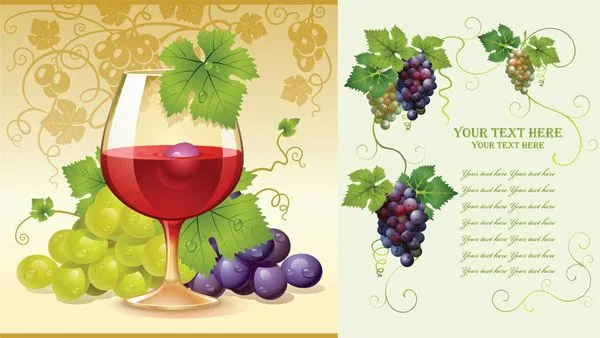 Palabras clave de uva vino Parras de uva hoja vino de uva Vector ...