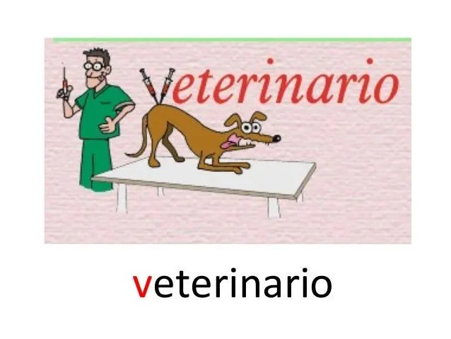 palabras-con-v-parte-2-19-638. ...