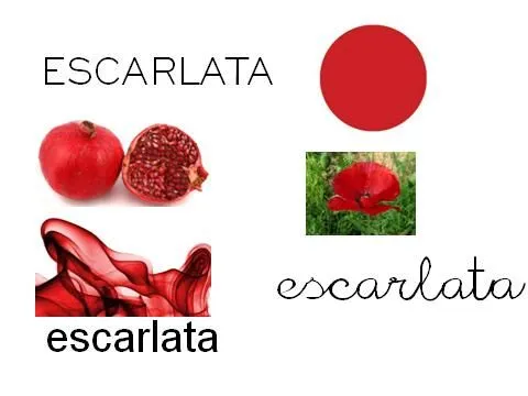 Palabras que empiezan con e - Imagui