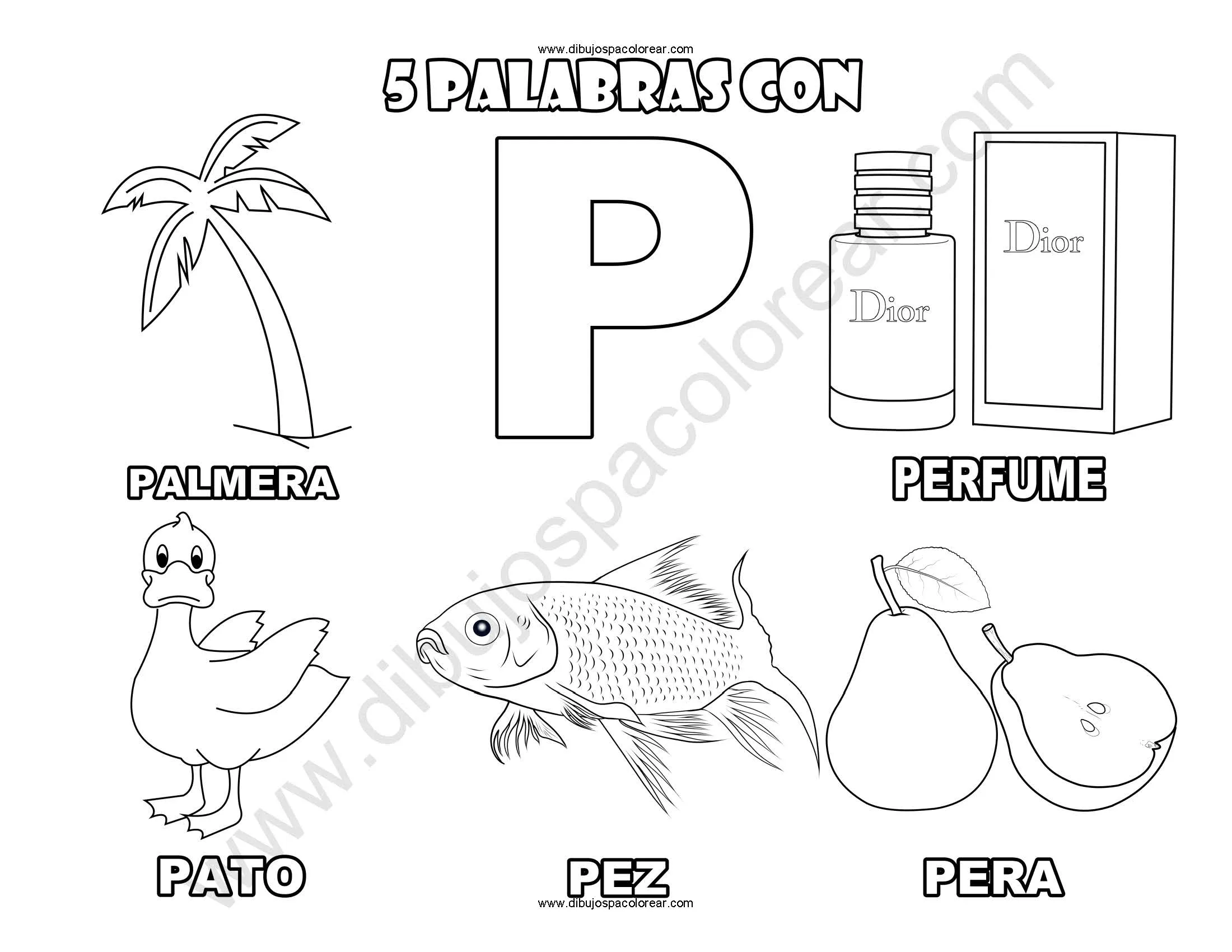 Cinco Palabras con la letra P dibujo a color y para colorear Cinco Palabras con la letra P dibujo a color y para colorear