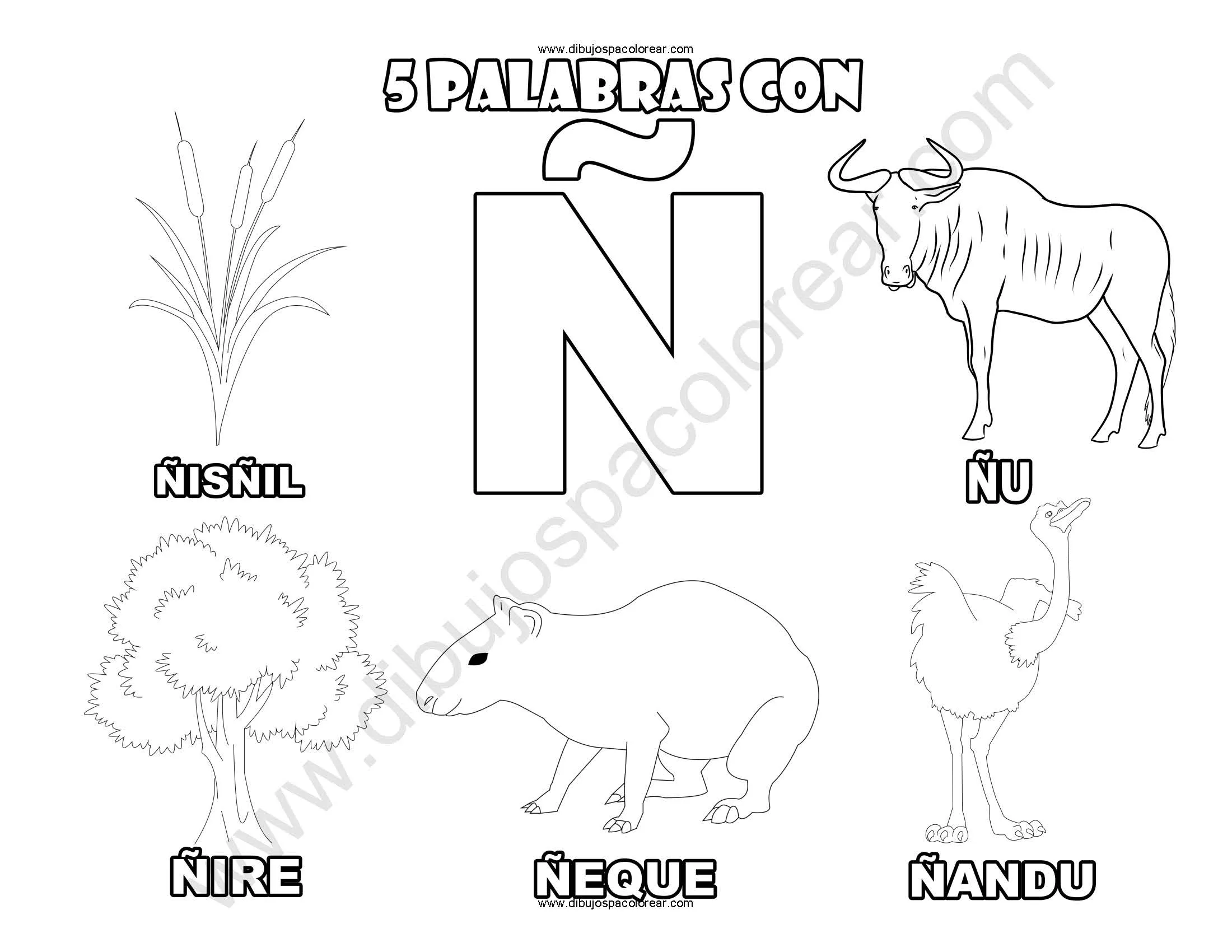 Cinco Palabras con la letra Ñ dibujo a color y para colorear Cinco Palabras con la letra Ñ dibujo a color y para colorear