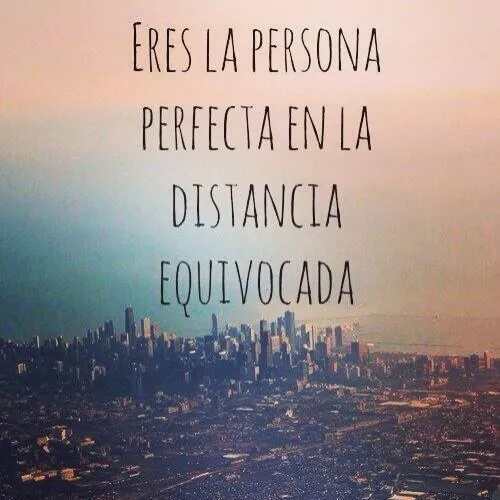 Fondo de flores con frases de amor tumblr - Imagui Fondo de flores con frases de amor tumblr - Imagui