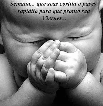 MIS PALABRAS Y SENTIMIENTOS: REFRANES POPULARES I