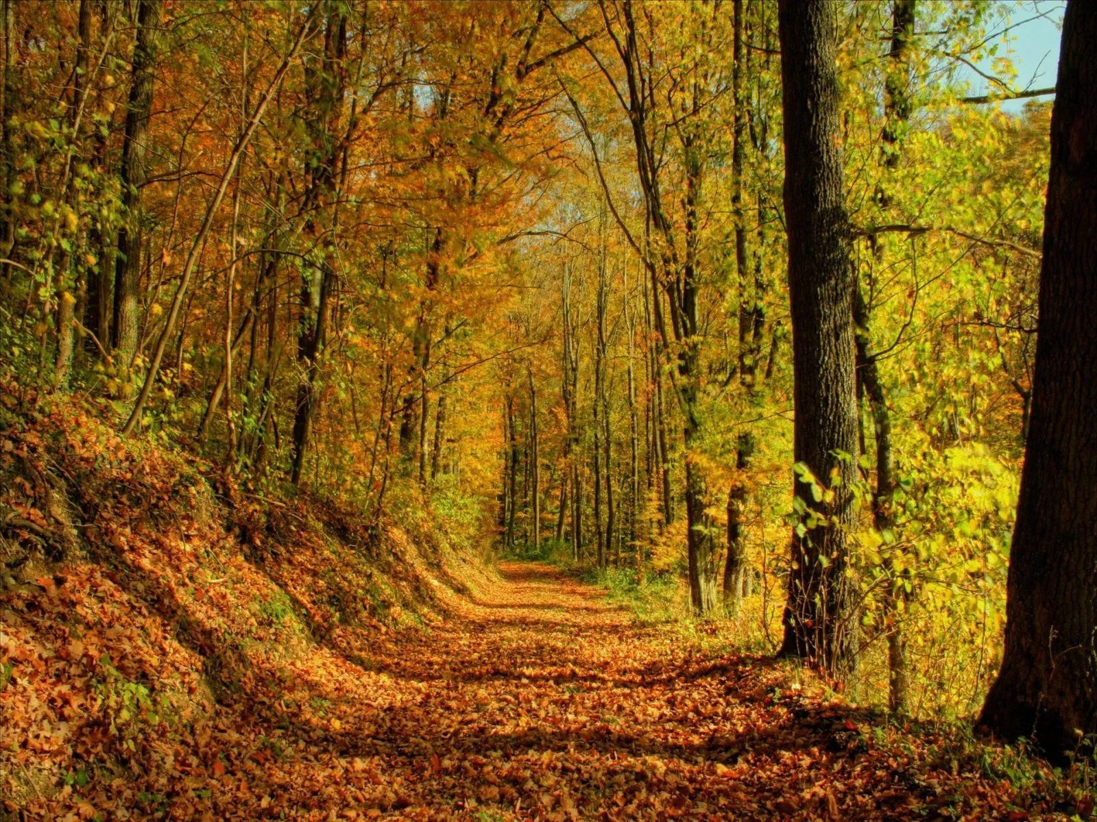 Las palabras del silencio: Otoño: cine, música, literatura ... Las palabras del silencio: Otoño: cine, música, literatura ...