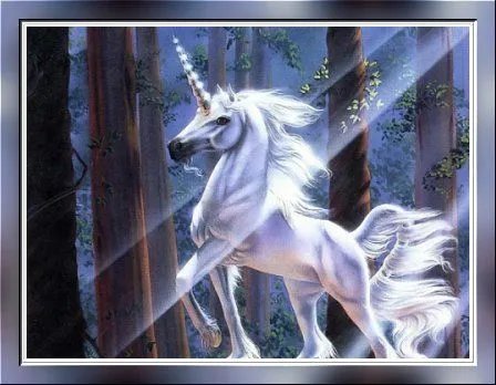 Las palabras del silencio: Unicornio