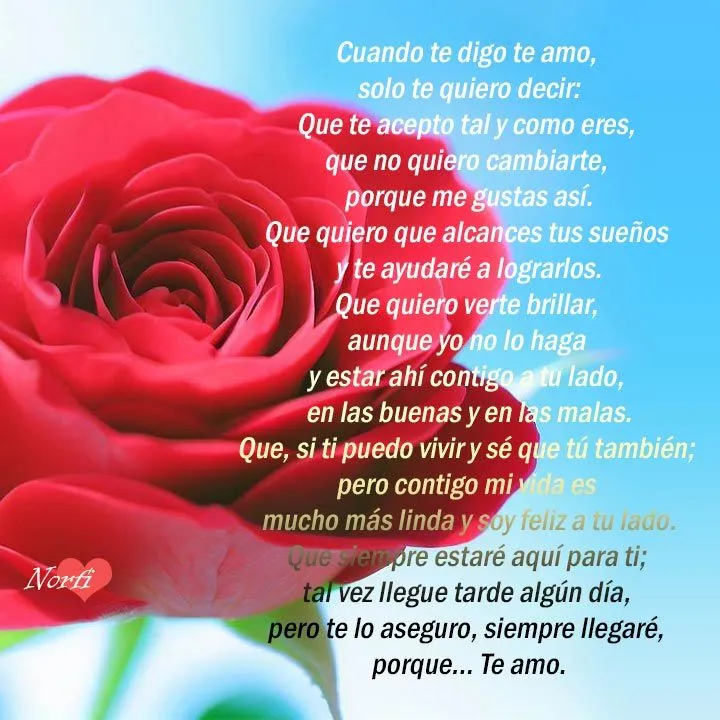Palabras sinceras para confesarle que le amo