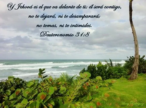 Palabras de Vida, reflexiones y mensajes cristianos de bendición ...