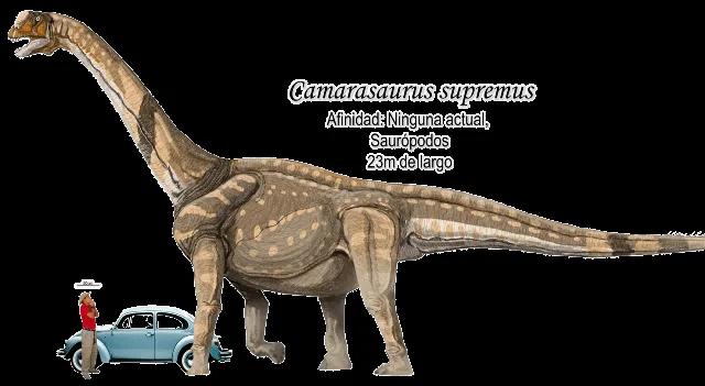 Palaeos, la historia de la Vida en la Tierra: Titanes DINOSAURIOS Palaeos, la historia de la Vida en la Tierra: Titanes DINOSAURIOS