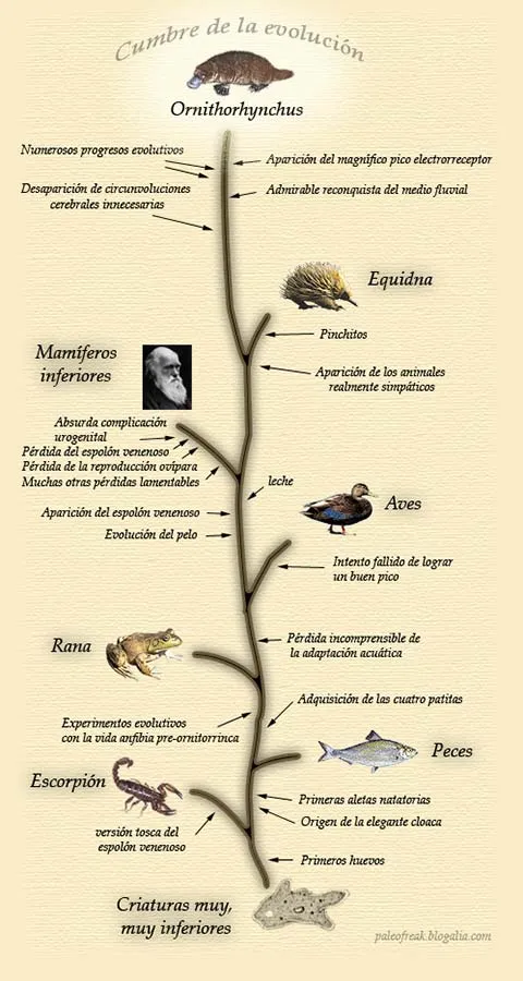 El PaleoFreak - La escala evolutiva