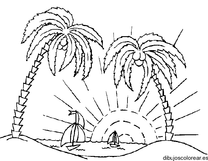 Palma de coco para colorear - Imagui