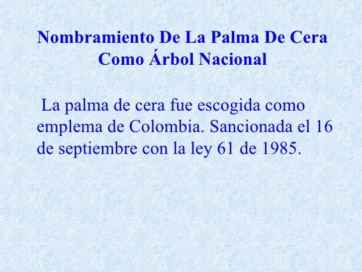 palma-de-cera-del-quindio-3- ...