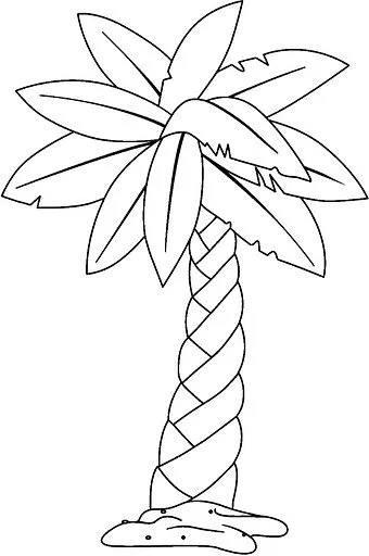 Palmeras para pintar - Imagui