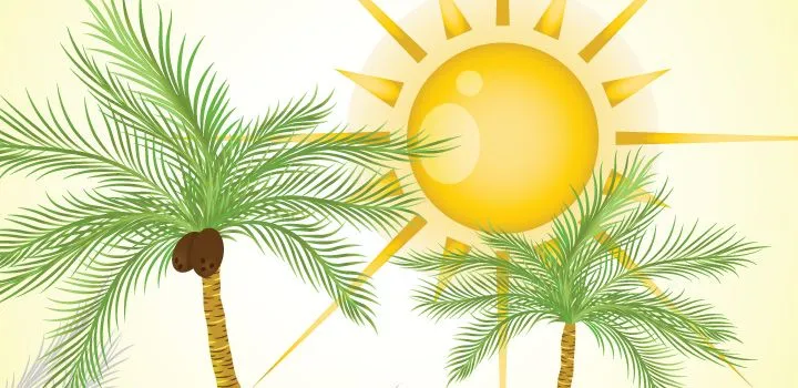 Palmeras y Cocos en Vectores Gratis | Vectores Gratis Palmeras y Cocos en Vectores Gratis | Vectores Gratis