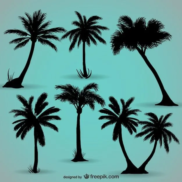 Palmeras | Fotos y Vectores gratis