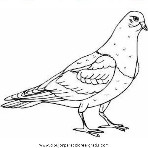 paloma animadas Colouring Pages