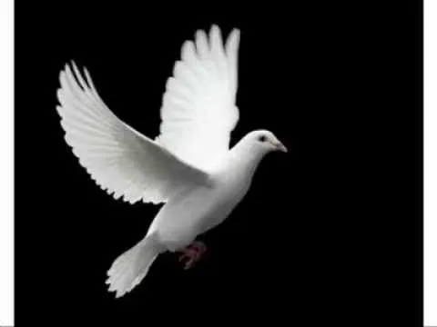 LA PALOMA BLANCA, El Espiritu Santo - YouTube