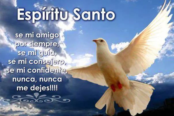 LA PALOMA BLANCA REPRESENTA AL PRECIOSO ESPIRITU SANTO DE DIOS ... LA PALOMA BLANCA REPRESENTA AL PRECIOSO ESPIRITU SANTO DE DIOS ...