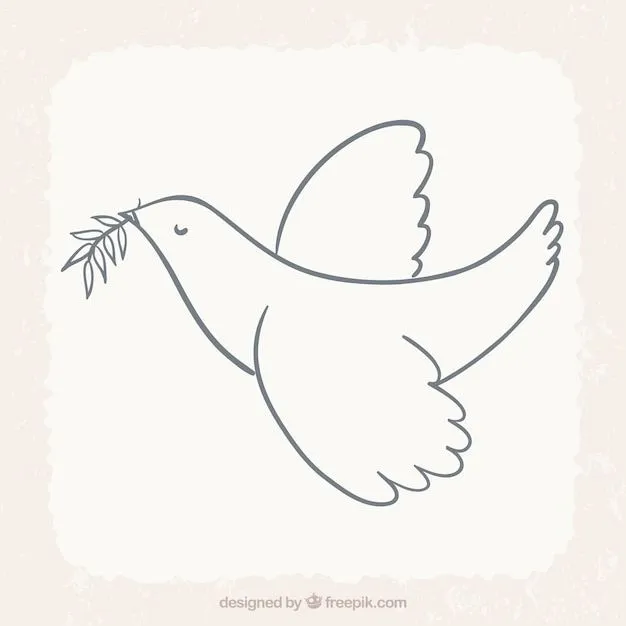 Paloma | Fotos y Vectores gratis