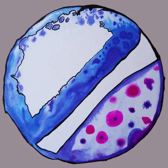 Paloma ilustrada: Planetas mandalas