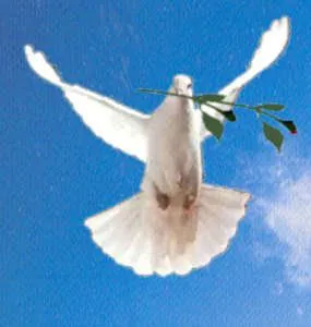 La paloma de la paz: ¿Porque el simbolo de la paz es una paloma?
