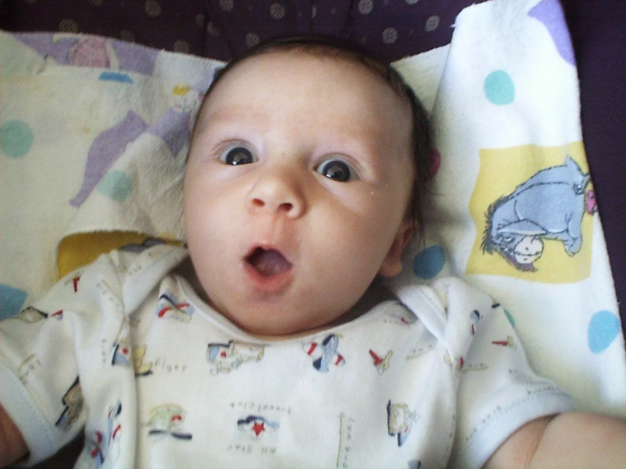 ... ver a una paloma volar que ver a su padre y su madre pelearse en casa ... ver a una paloma volar que ver a su padre y su madre pelearse en casa