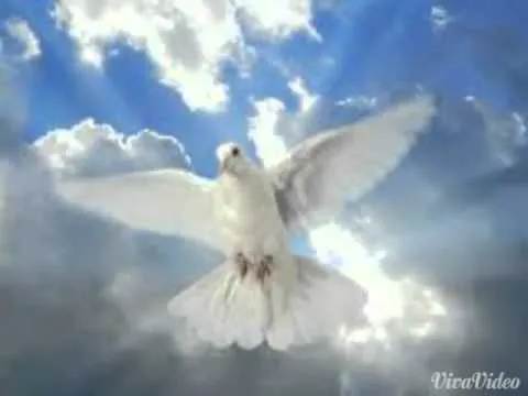 PALOMAS BLANCAS ALEX UBAGO - YouTube