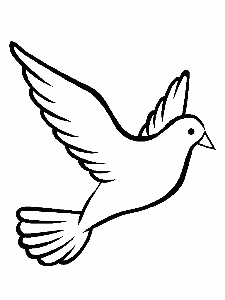 PAZ-paloma-paz | Manolo Díaz &amp; freelances