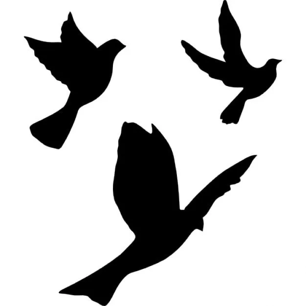 Palomas Volando | Fotos y Vectores gratis