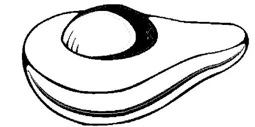Palta para colorear - Imagui