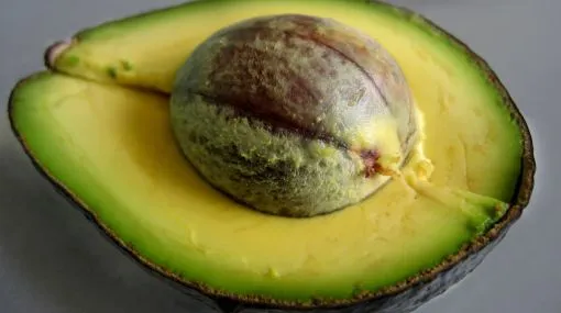 La palta peruana podría ingresar al mercado chino a fin de año ...